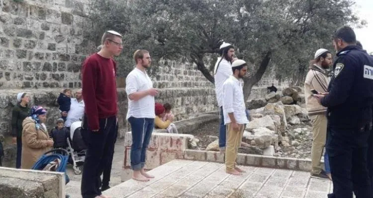 عشرات المستعمرين يقتحمون المقامات الإسلامية في كفل حارس شمال سلفيت